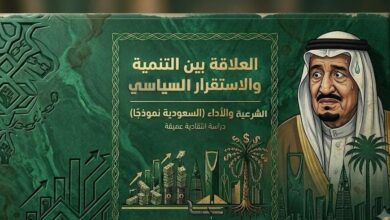 العلاقة بين التنمية والاستقرار السياسي